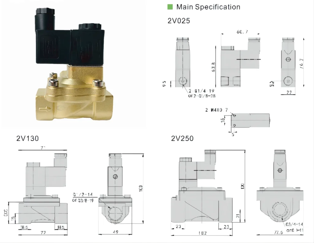 yingwenyangbenzhuanqu_74 1 png